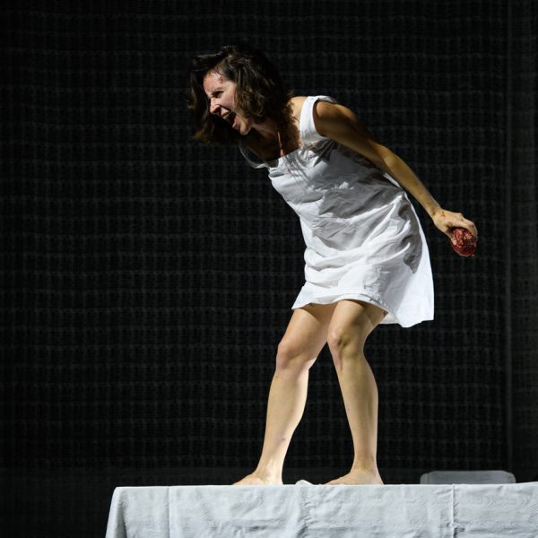 Agnès in Written On Skin - Theater Ulm